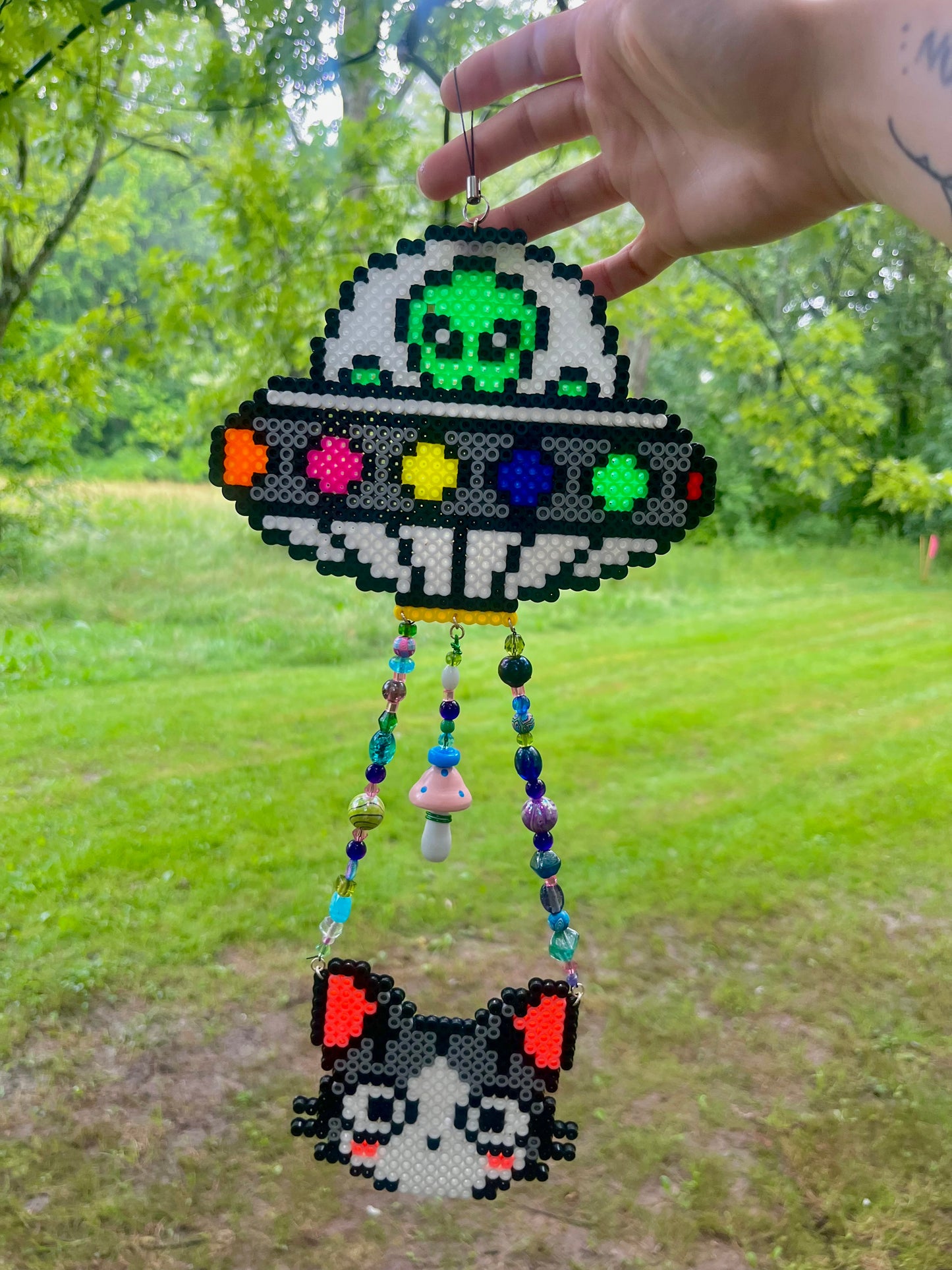 Kitty abduction