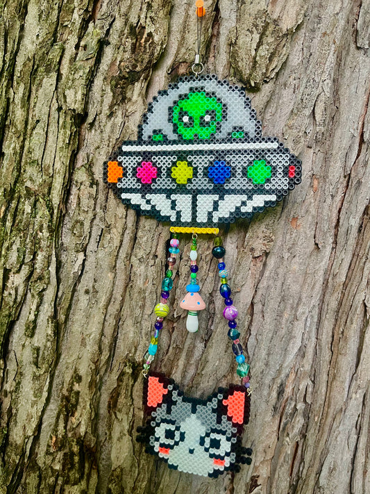 Kitty abduction